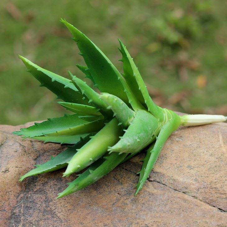 small artificial aloe plant