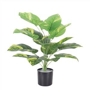 Umělý Scindapsus Aureus