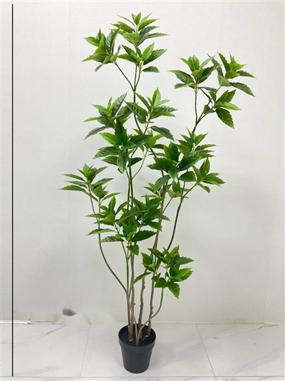 Továrna na umělá ficus rostlina BSCI